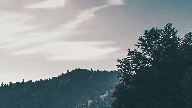 乔治五世一卢比稀少年份